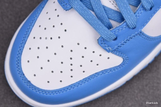 Nike Blue Dunk DD1391-102 University Low 0717
